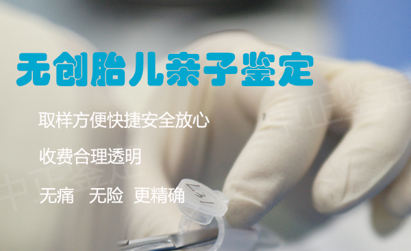 德阳孕期亲子鉴定需要怎么办理,德阳产前亲子鉴定大概价格