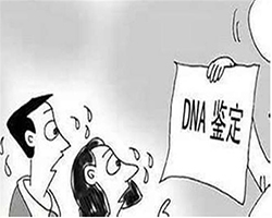 德阳血缘检测医院电话是多少，德阳医院亲子鉴定到哪里办理