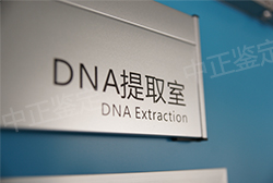德阳隐私亲子鉴定多少钱，德阳隐私亲子鉴定办理流程