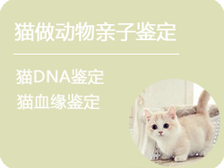 德阳猫做动物亲子鉴定